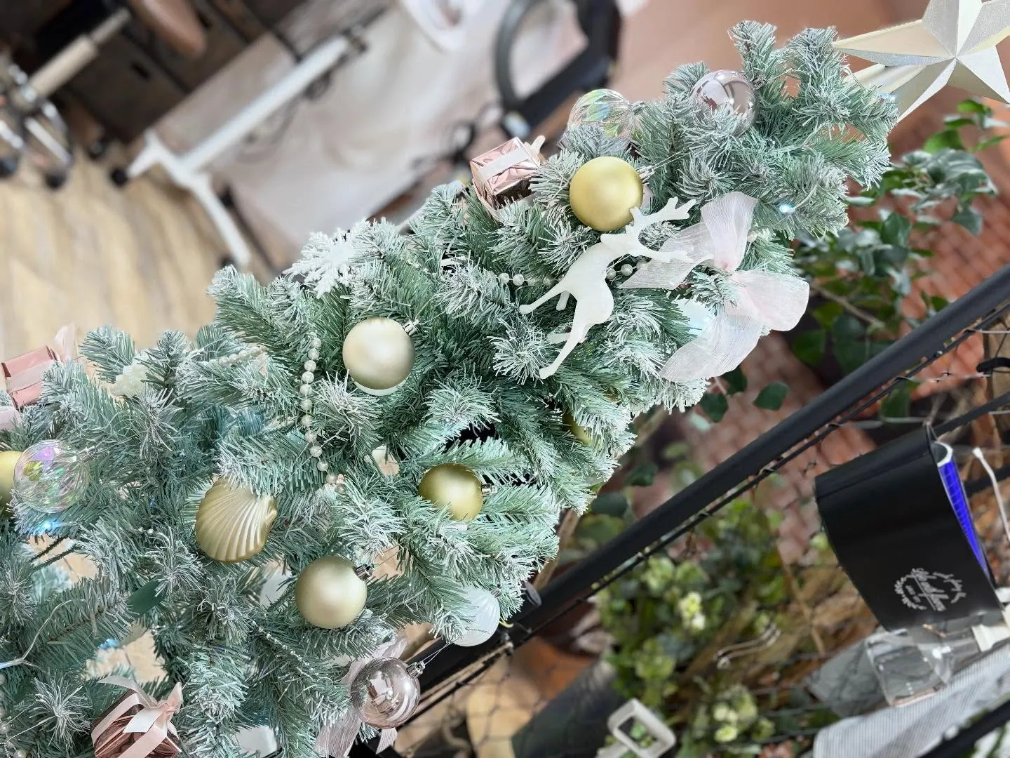 いつもMinaLissをご来店いただきありがとうございます😊